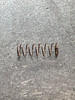 100-012 SPRING