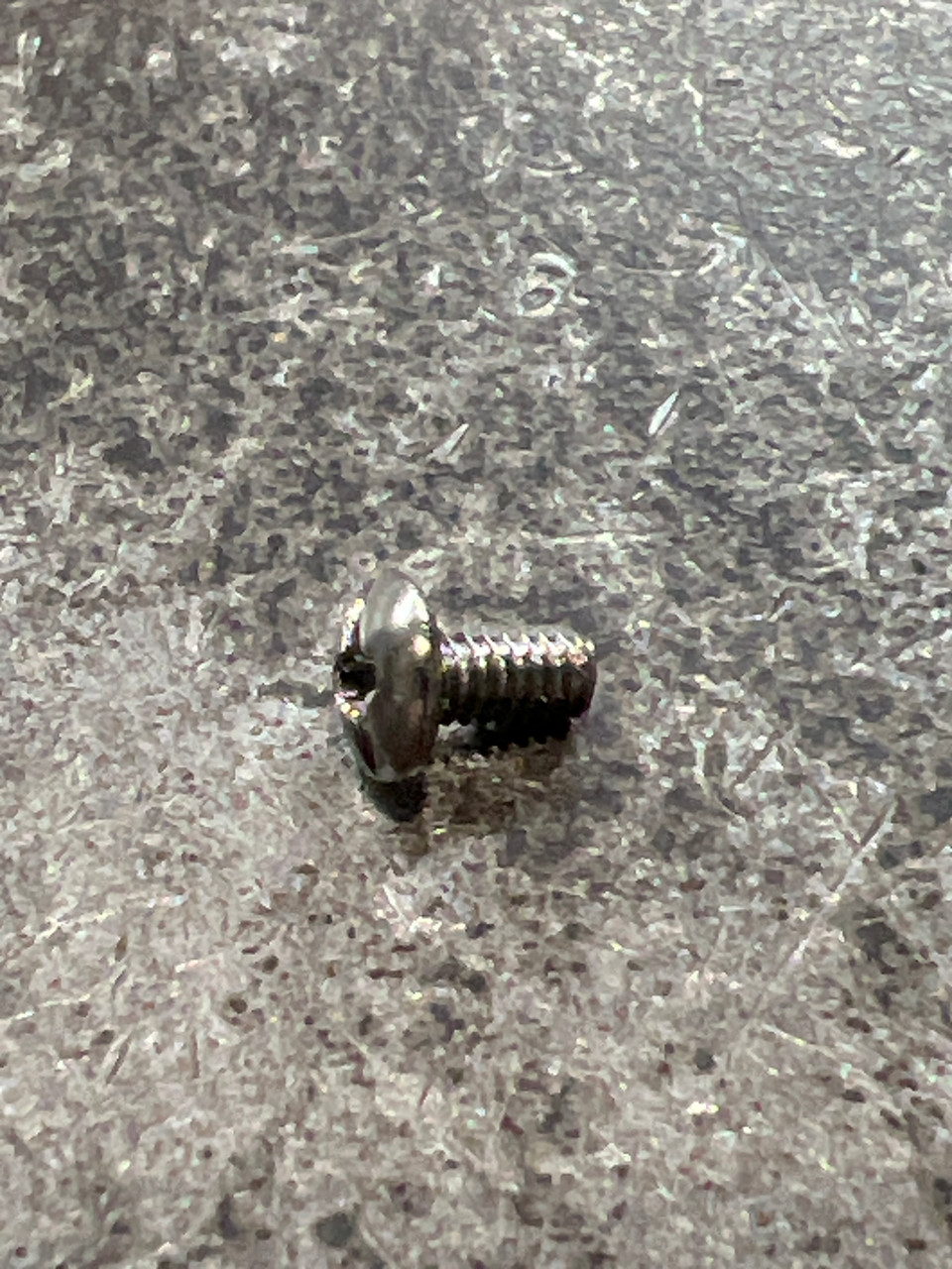 25663 SCREW EON
