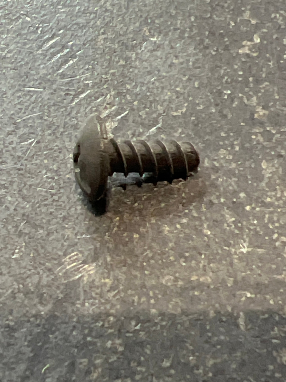 E81-1001 SCREW