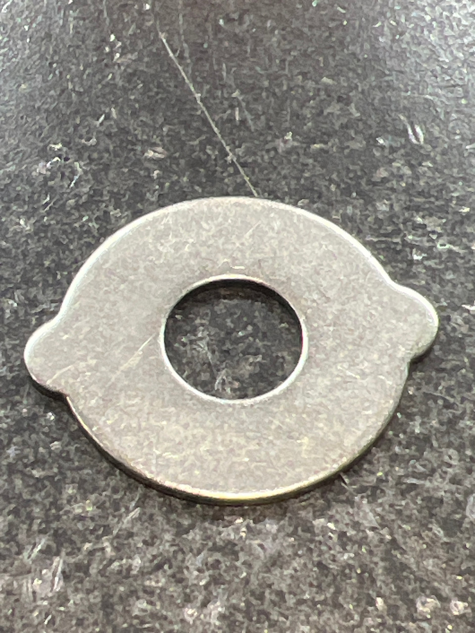 W54-8001 Eared Washer