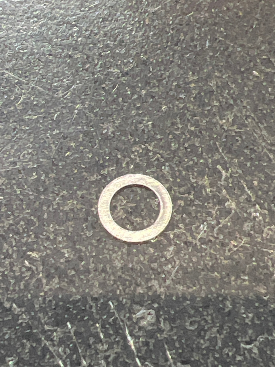 B41-1706 Worm Shaft Washer