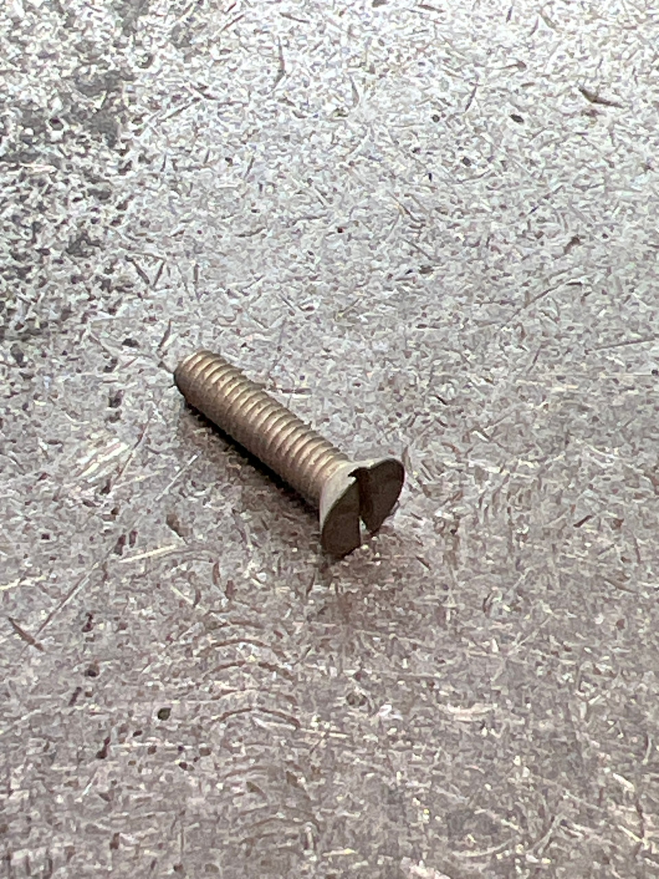 100-393 Screw