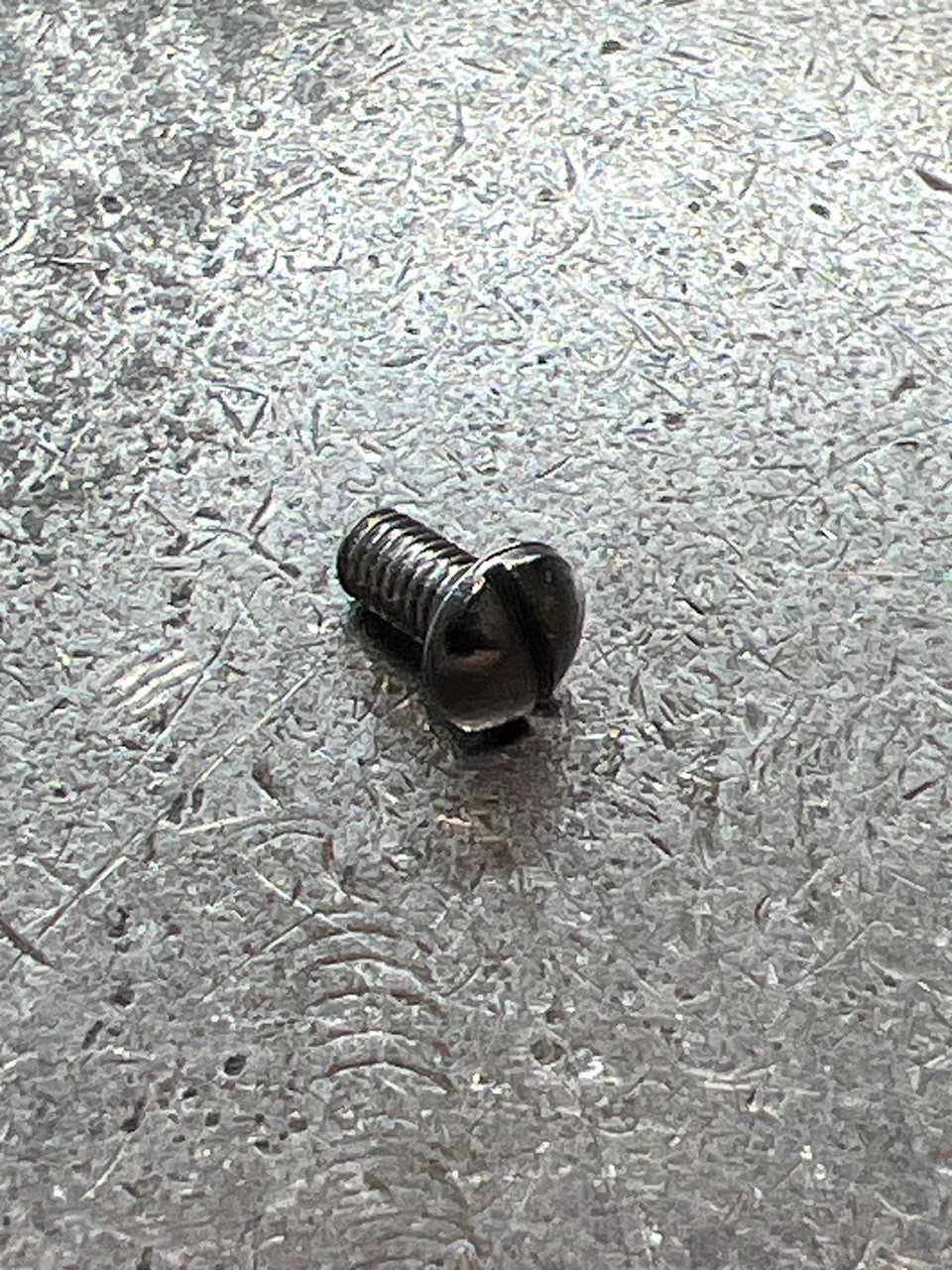 DAM 100-026 COVER SCREW