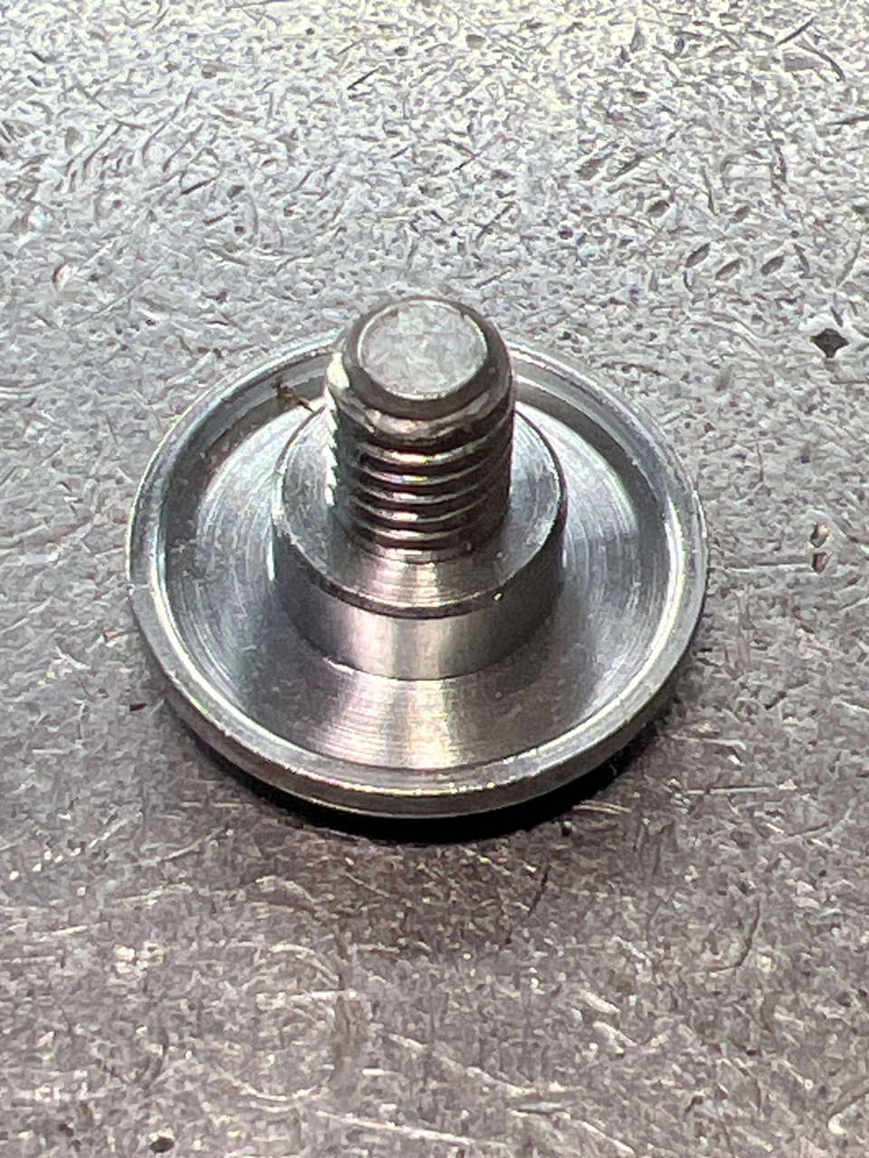 103-961 BEARING SCREW
