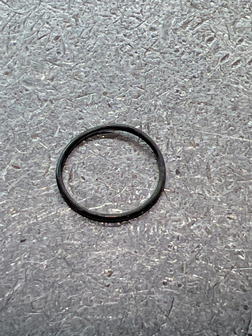 1009E O RING (RD19831)