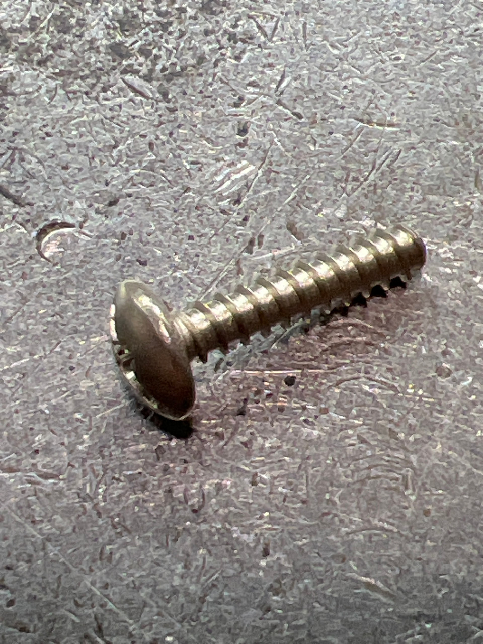 10PQS SIDE PLATE SCREW (TT 0267)