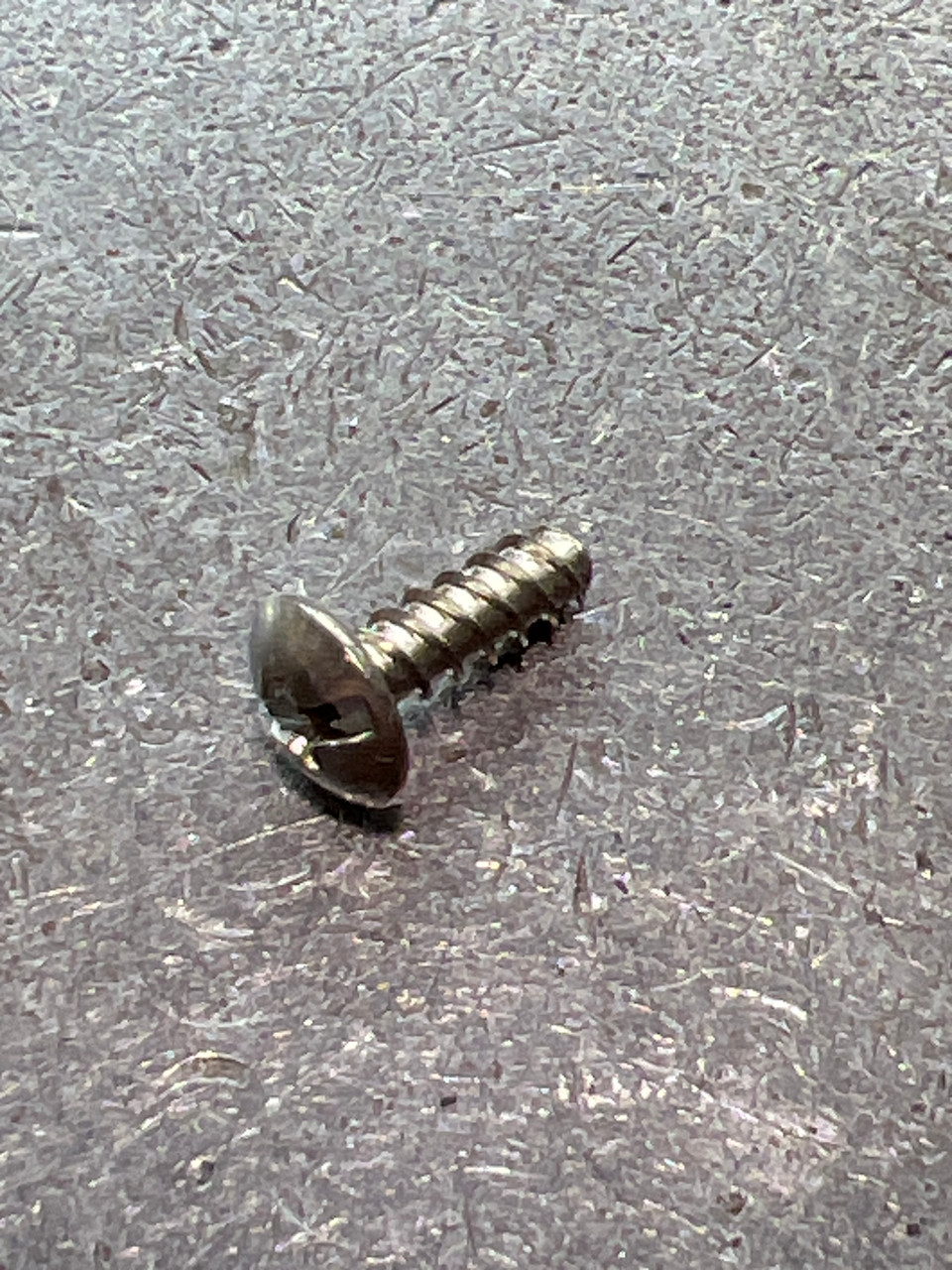 103DH RIGHT SIDE PLATE (B) SCREW (TGT0585)