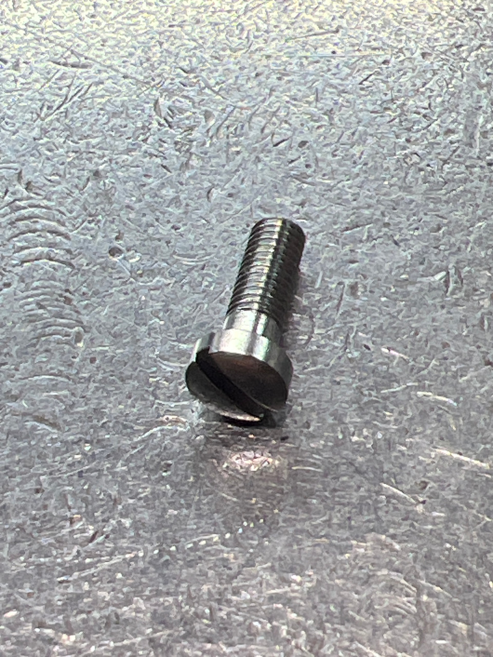 82381 SCREW