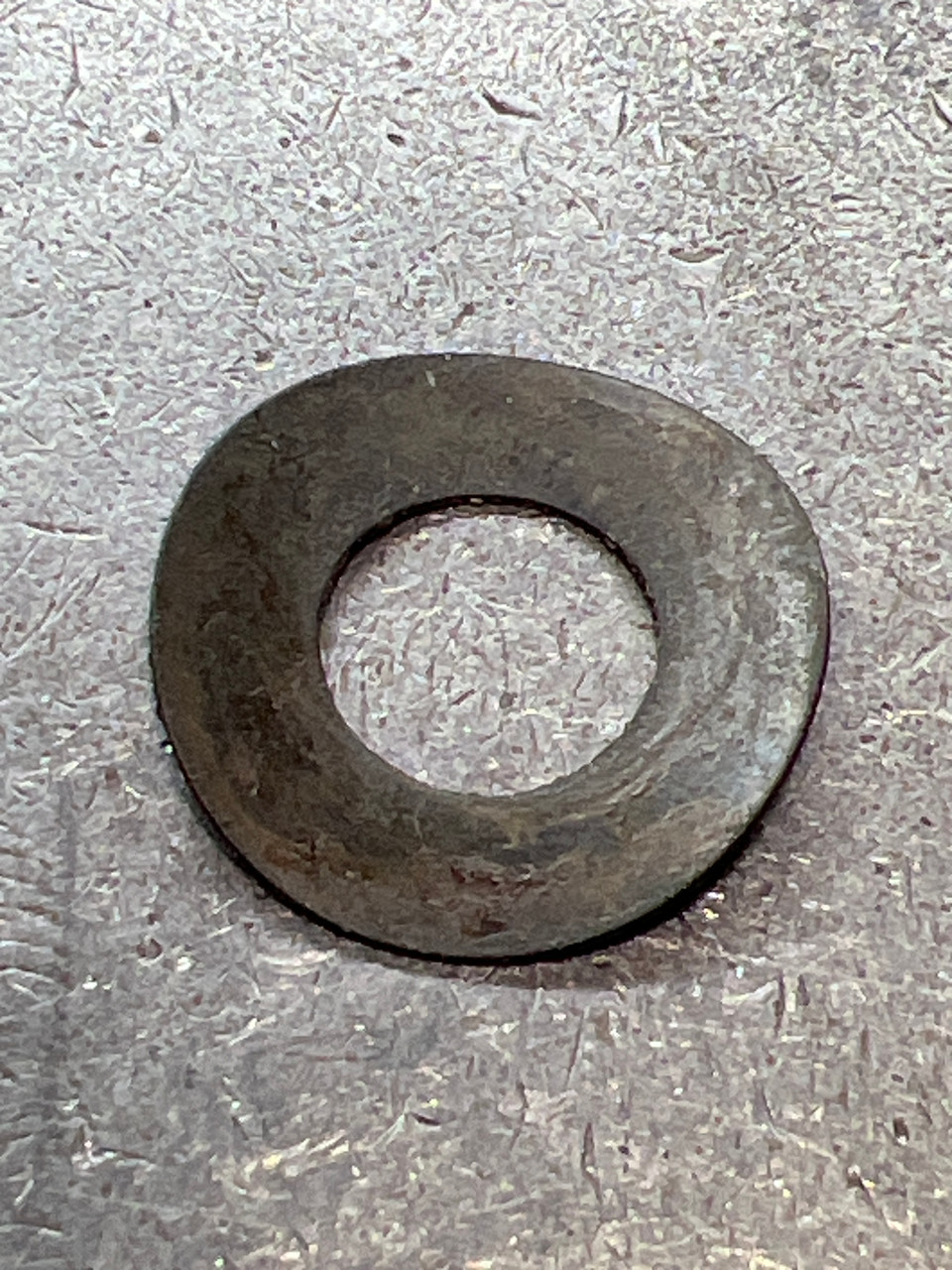 83181 SPRING WASHER