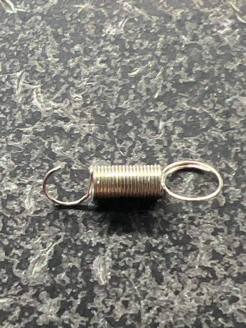 B98-7801 WORM BEARING SPRING