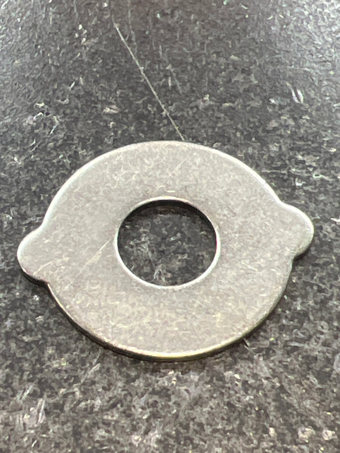 W54-8001 Eared Washer