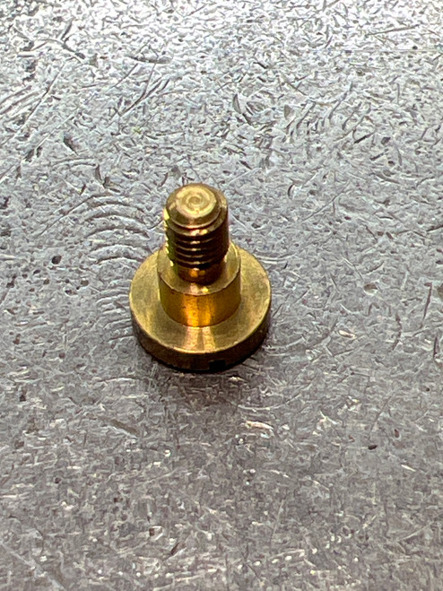 103-983 BEARING SCREW