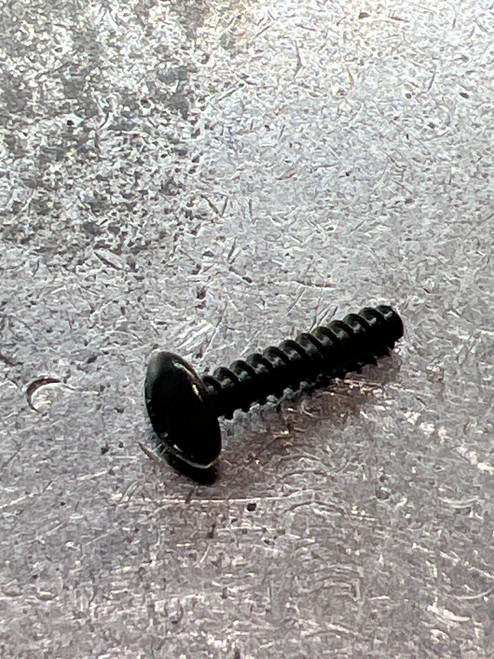 10PQR RIGHT SIDE PLATE SCREW (A) (TGT0081)