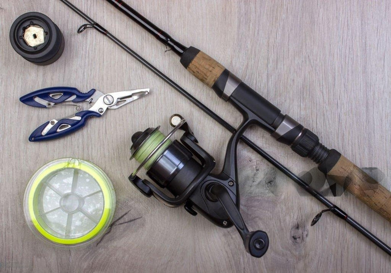 A Comprehensive Guide To Fishing Reel Components