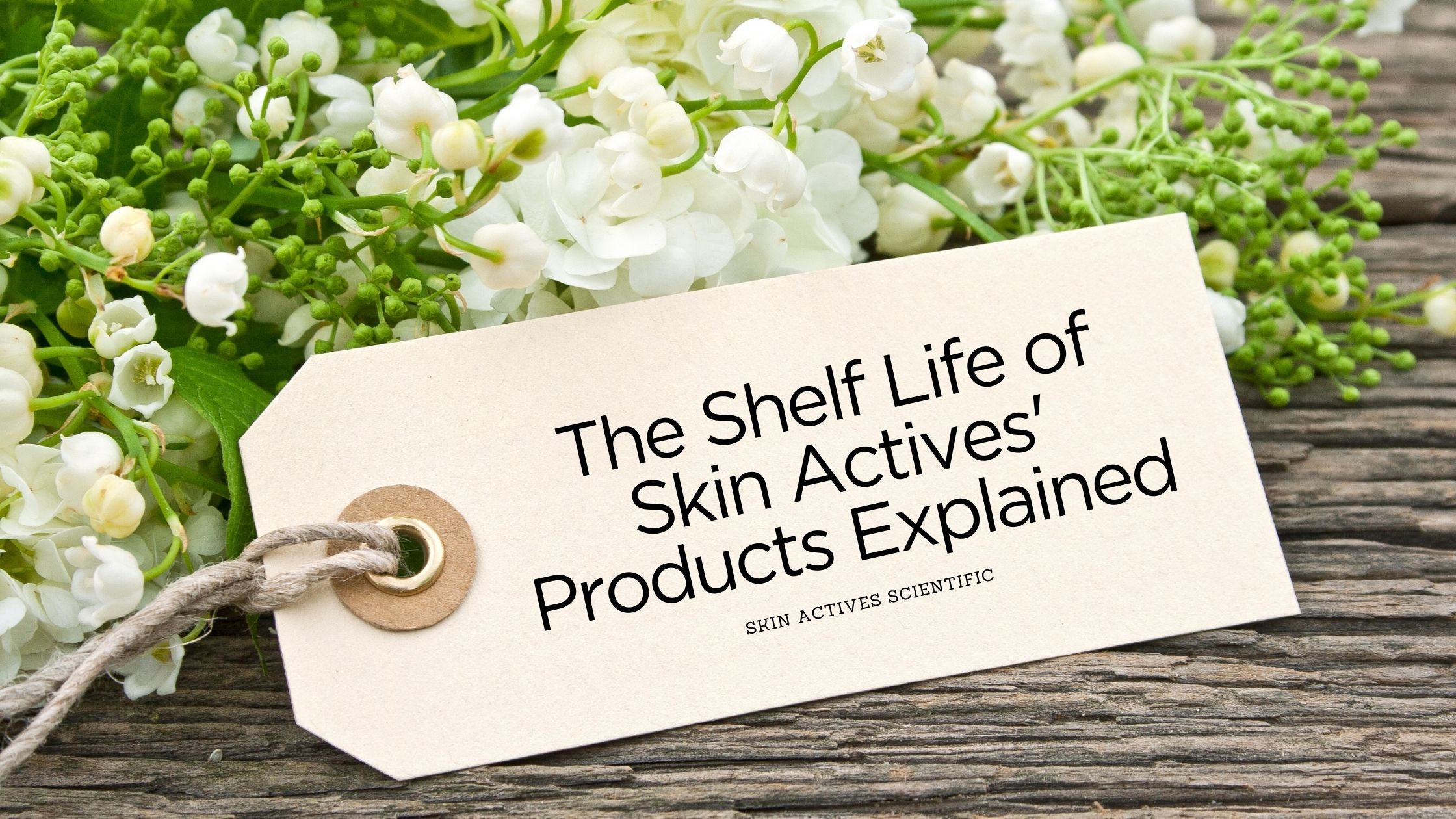 The Shelf Life of Skin Actives' Products Explained  Skin Actives - Skin Actives Scientific LLC