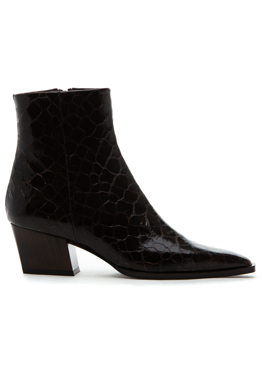 T Moro Lizard