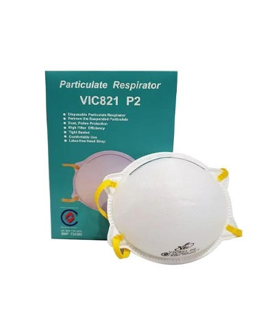 P2 Dust Mask Standard 20 piece