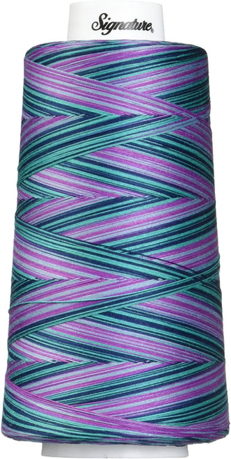 Signature40 - Garden - F153 - Cone - 3000 Yds - 100% Variegated Cotton Quilting Thread