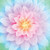 Dream Bigger Flower Opal