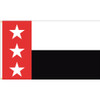 City of Laredo, Texas Flag