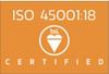 BSI ISO 45001:18