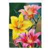 Colorful Daylily Suede Garden Flag
