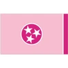 Pink Tennessee 3x5 Foot Custom Flag