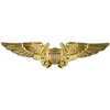 U.S. Navy Flight Officer Lapel Pin