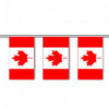 Canada String Pennant