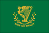 Erin-Go-Bragh (Irish Americans) - Miniature 4" x 6" Stick Flag 