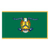 Department of the Treasury Fringed Flag