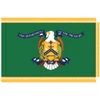 U.S. Department of the Treasury Fringed Flag