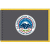 U.S. Immigration and Customs Enforcement Fringed Flag