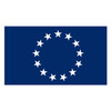 United States Foreign Service Flag with pole sleeve