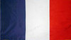 France Flag- Indoor