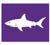 Shark Warning Flag (Purple)