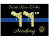 Springfield MO PD 12x18 Inch Custom Guidon