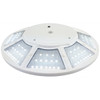 Solar Light for flag poles