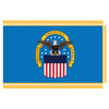 Defense Logistics Agency Fringed Flag