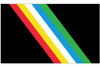 Disability Pride Flag