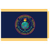 Defense Intelligence Agency Fringed Flag