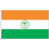 City of Miami Flag