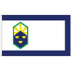 City of Colorado Springs, CO Flag
