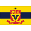 City of St. Paul, MN Flag