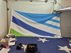 City of Dayton, Ohio Flag