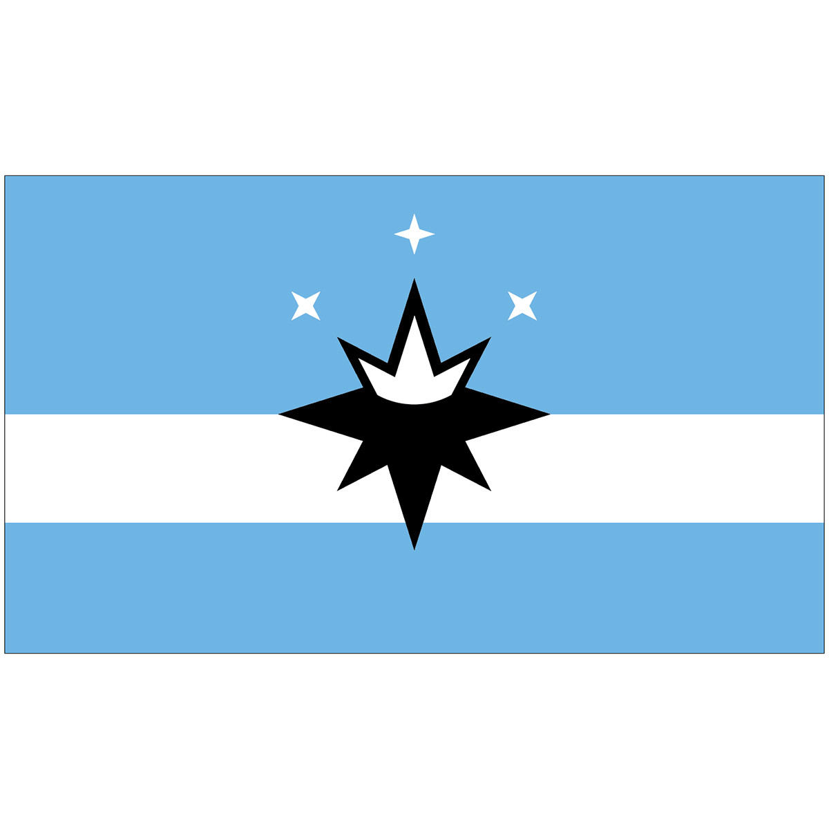 City of Springfield, Missouri flag