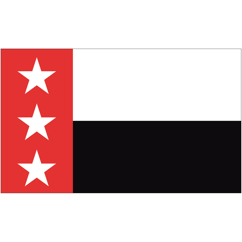 City of Laredo, Texas Flag