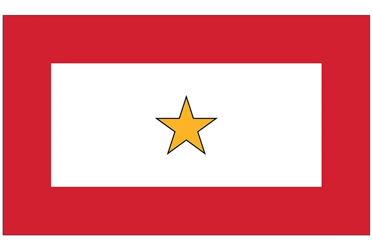 Custom Package qty 10- Gold Star 3x5 Service Flag - 1 Star