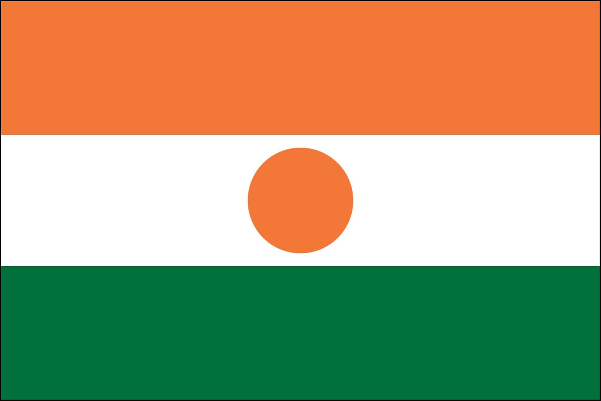 Niger - 4" x 6" Miniature Stick Flags