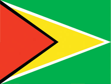 Guyana - 4" x 6" Miniature Stick Flags
